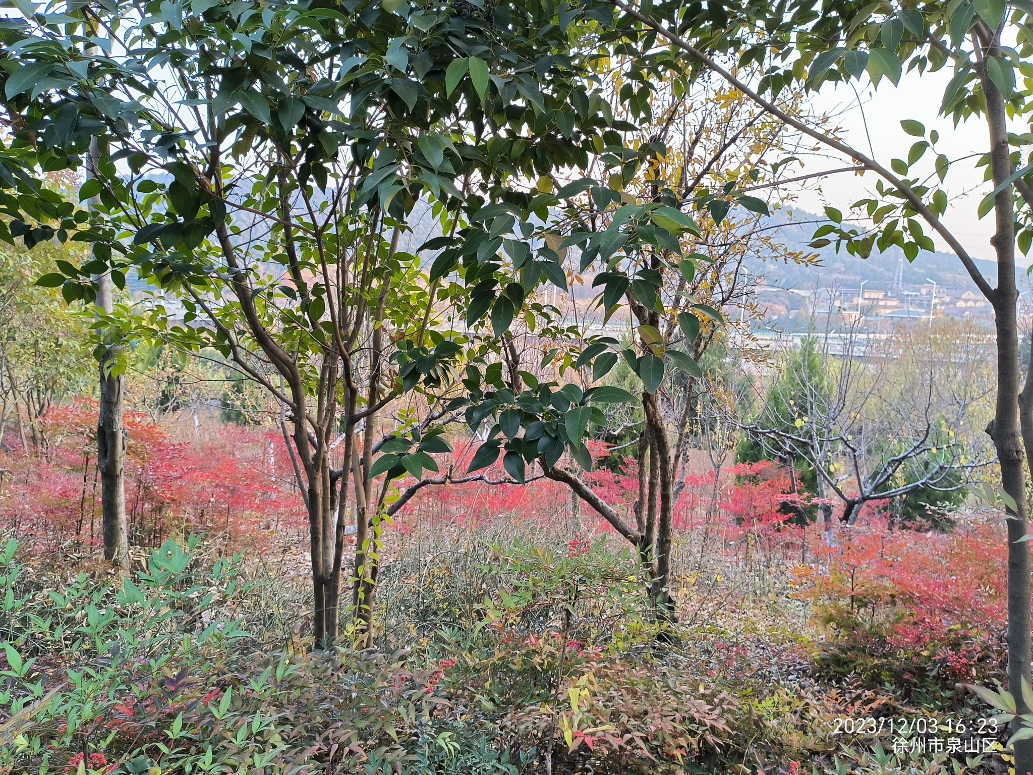 卧牛山公园旅行图片