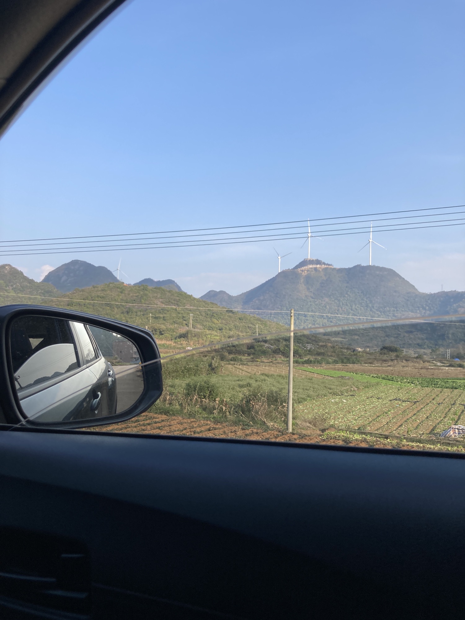 千年银杏景区