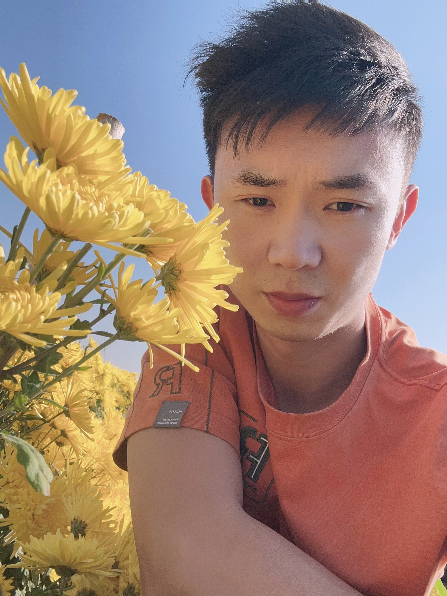 方城清河菊花园旅行图片