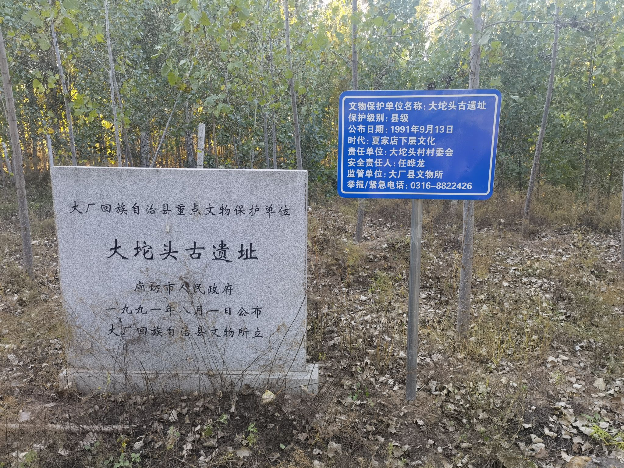 大坨头古遗址旅行图片