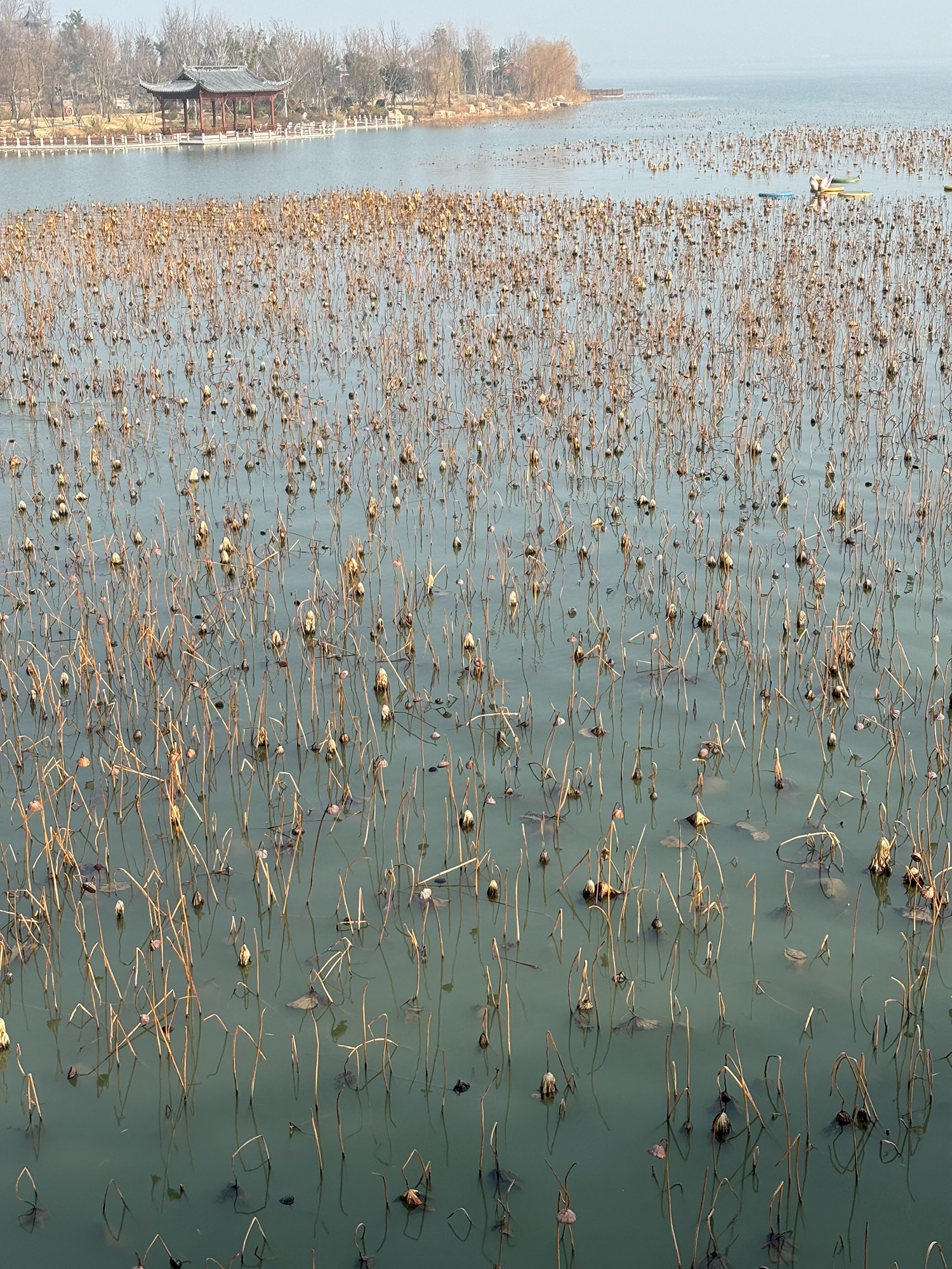 明湖公园