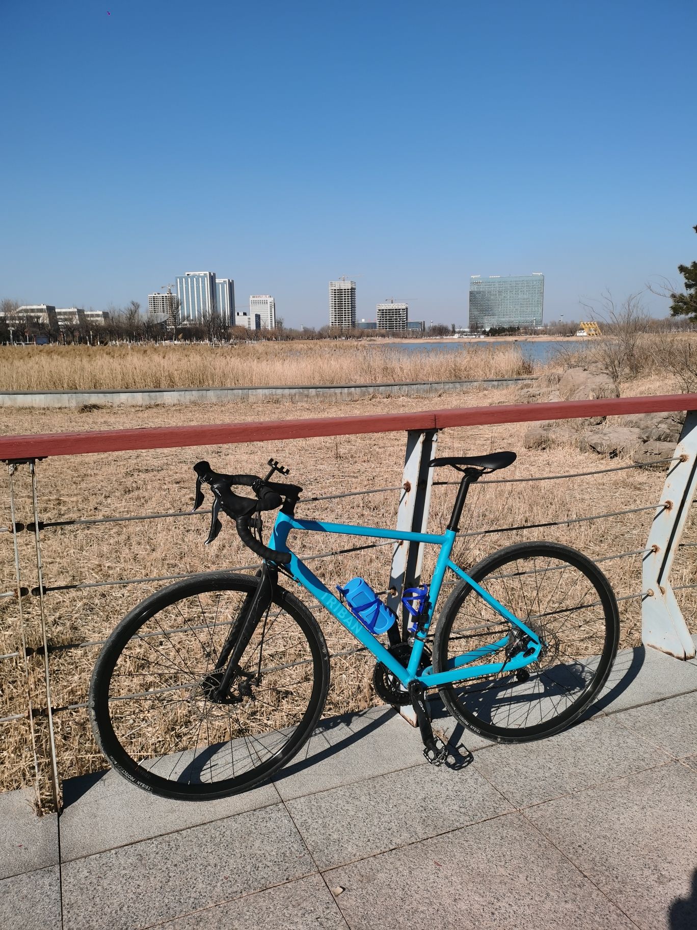 中央公园旅行图片