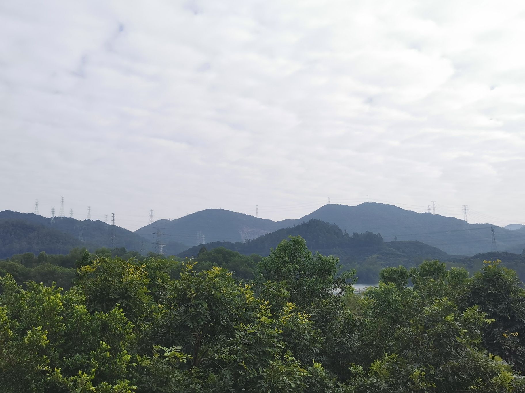 湖心亭旅行图片