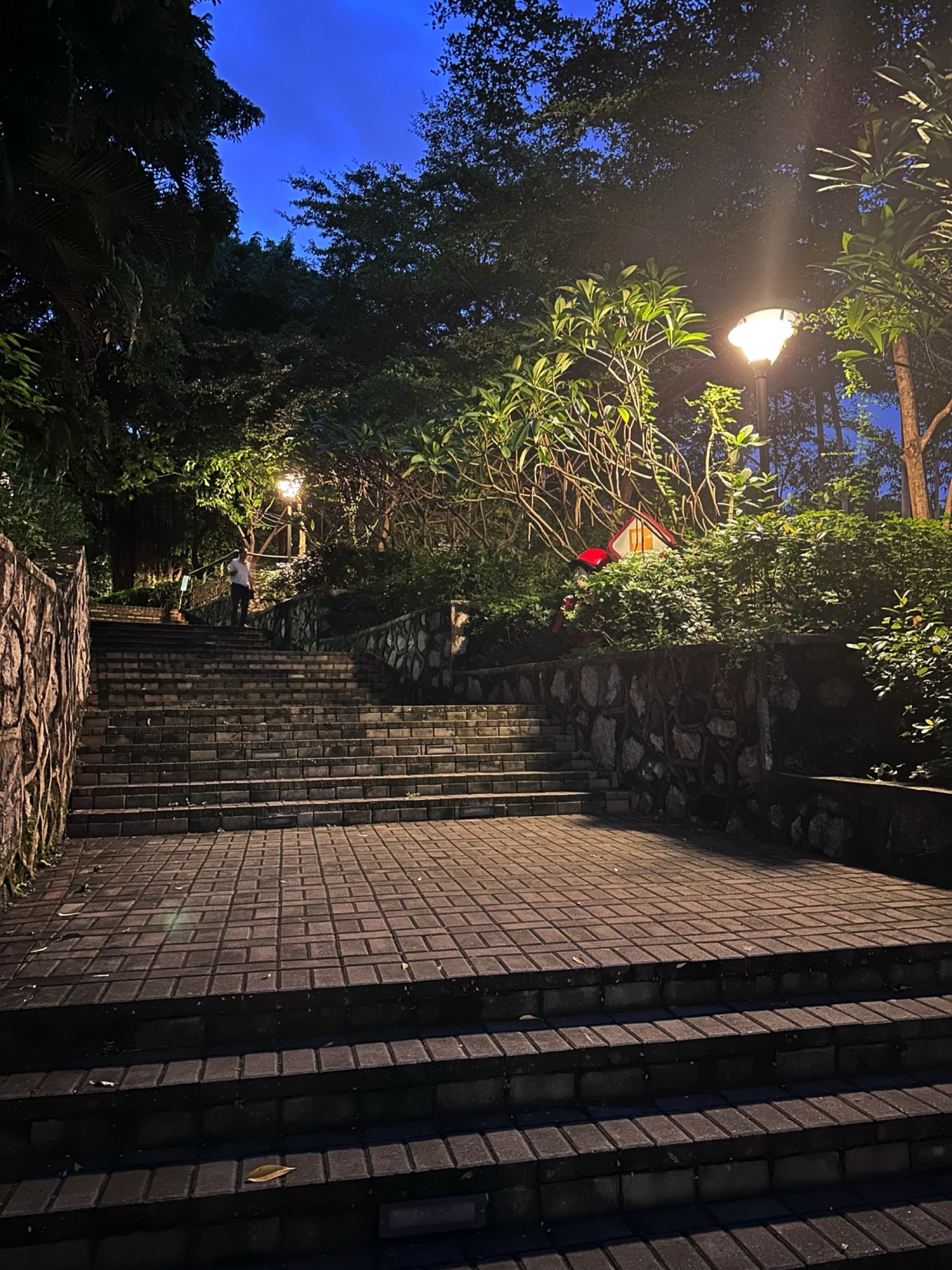 官田社区公园