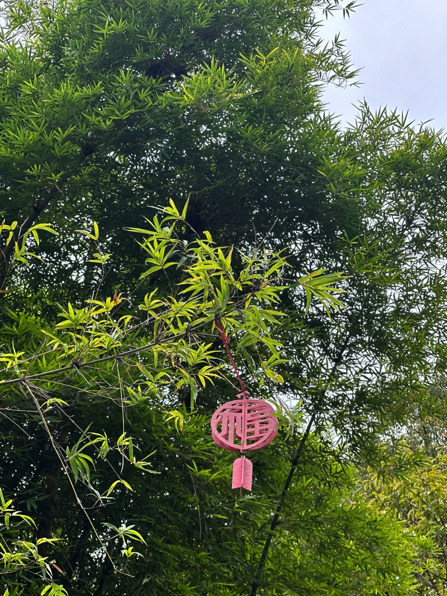 龙泉市体育公园