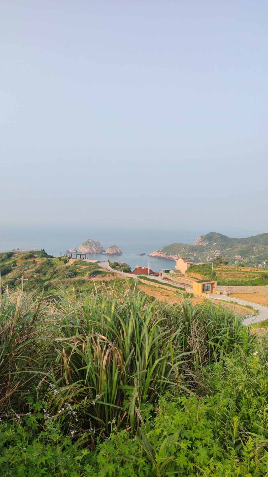 福善禅寺