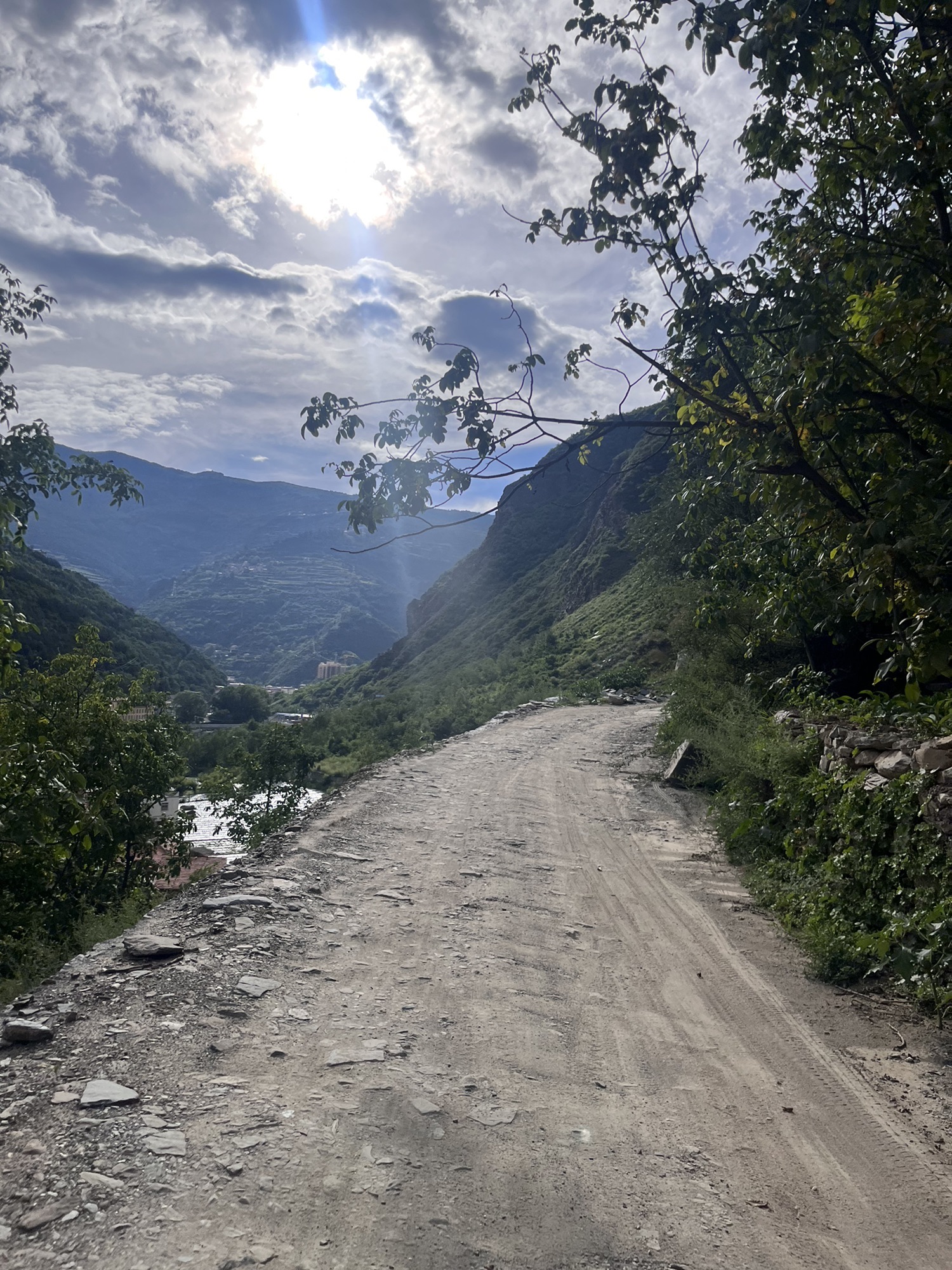 雅克夏国家森林公园旅行图片
