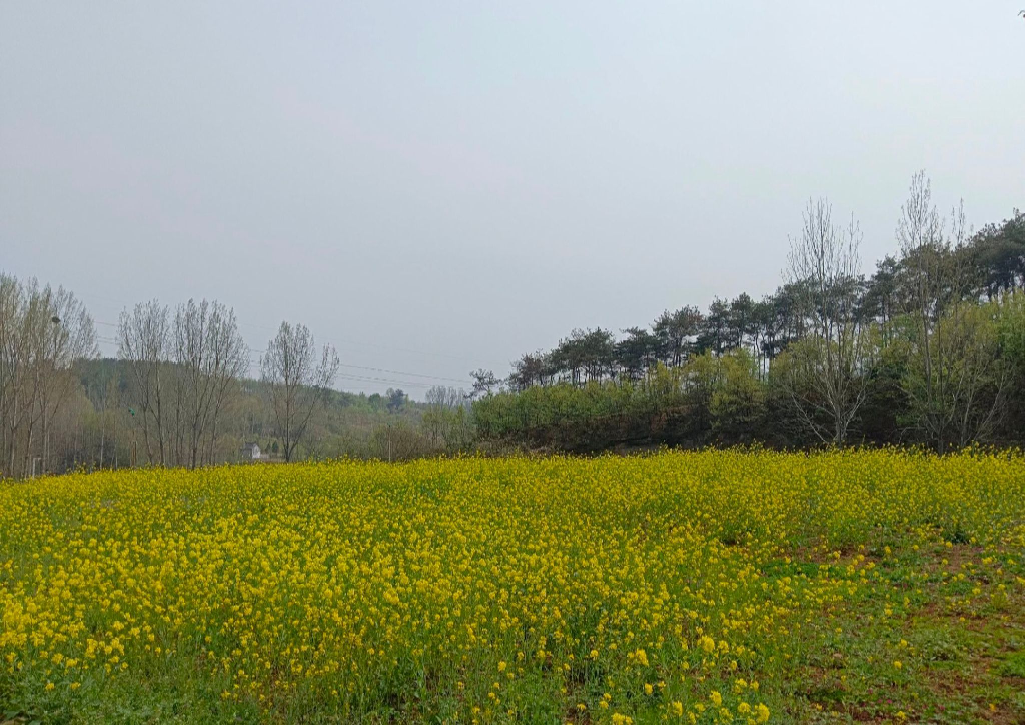 七彩沟景区旅行图片