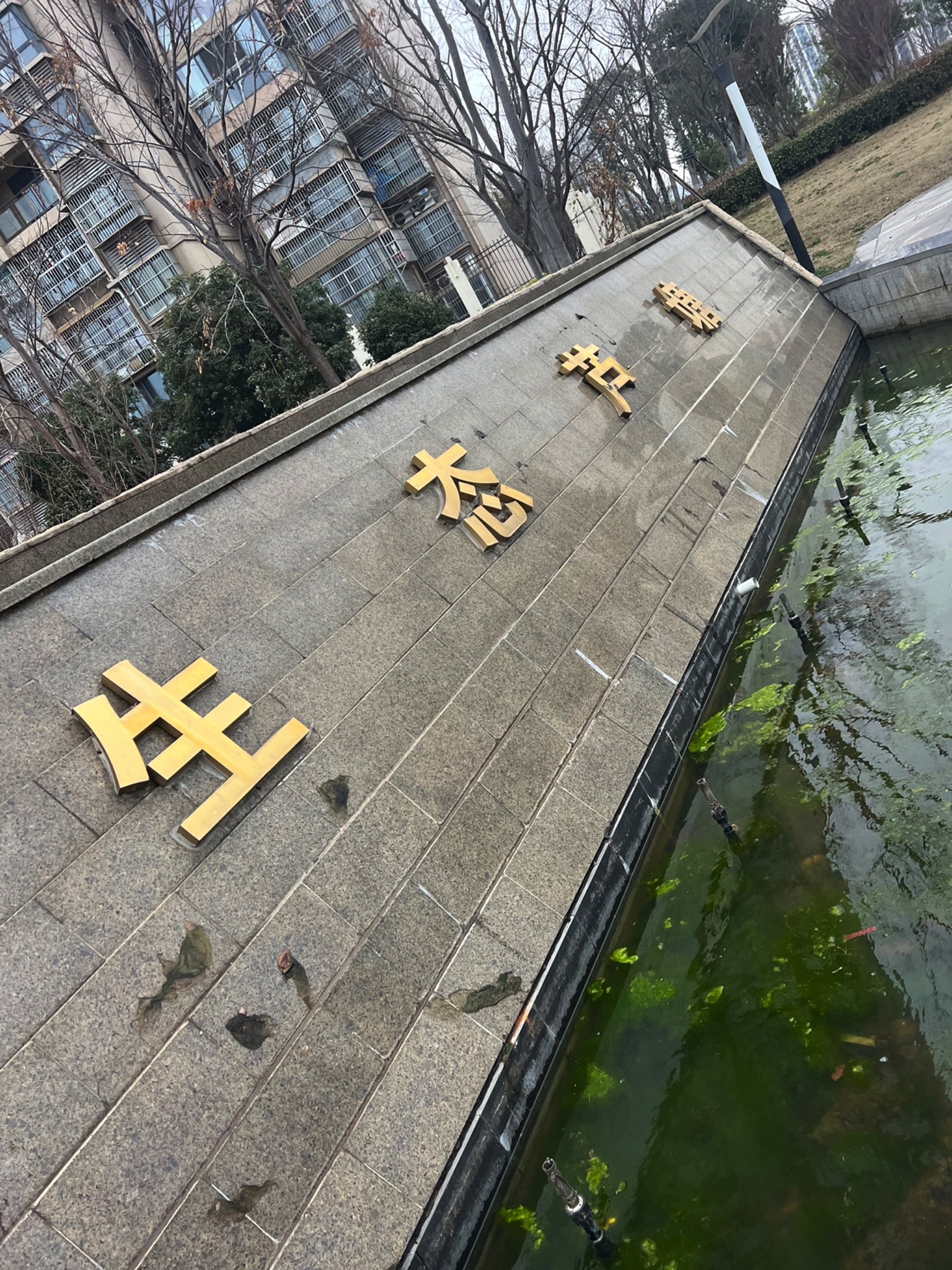 芦塘生态公园旅行图片