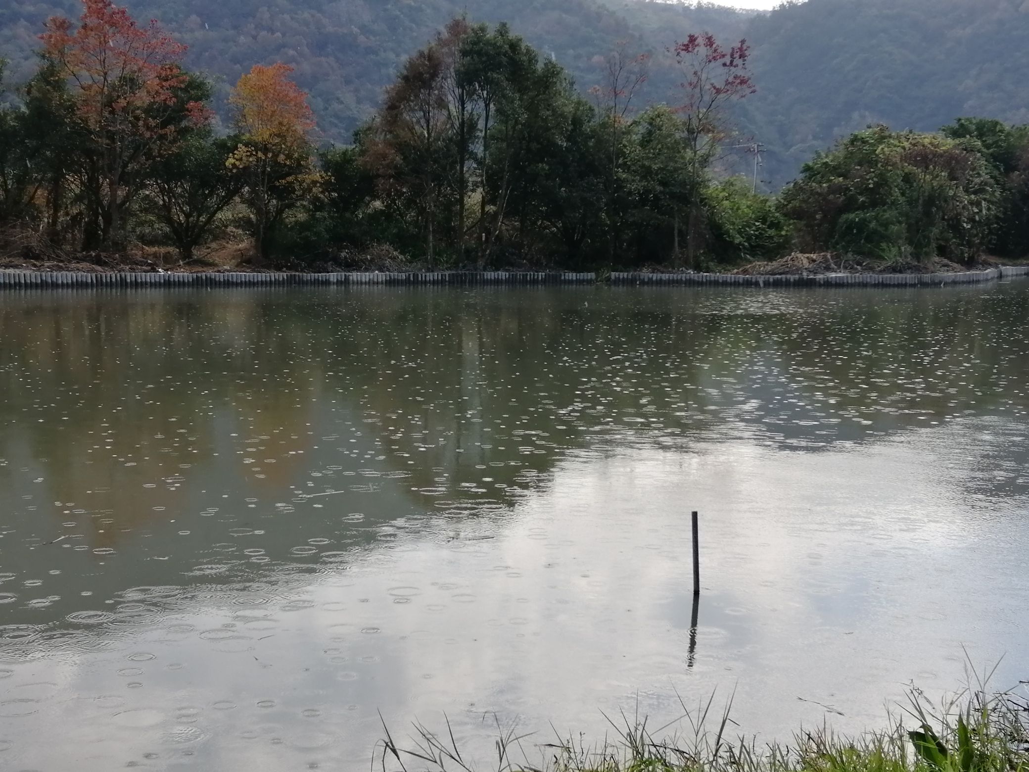 东塘河生态公园旅行图片