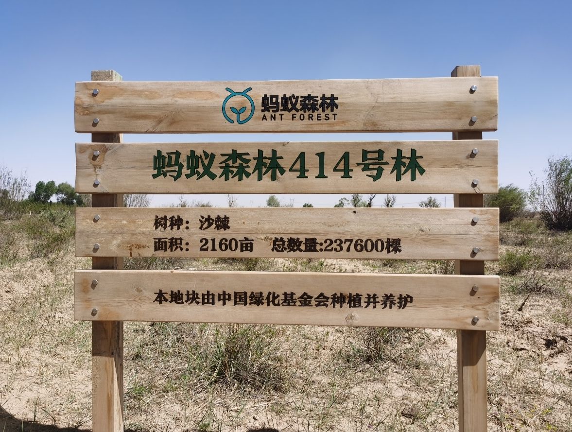 蚂蚁森林414号林·沙棘旅行图片