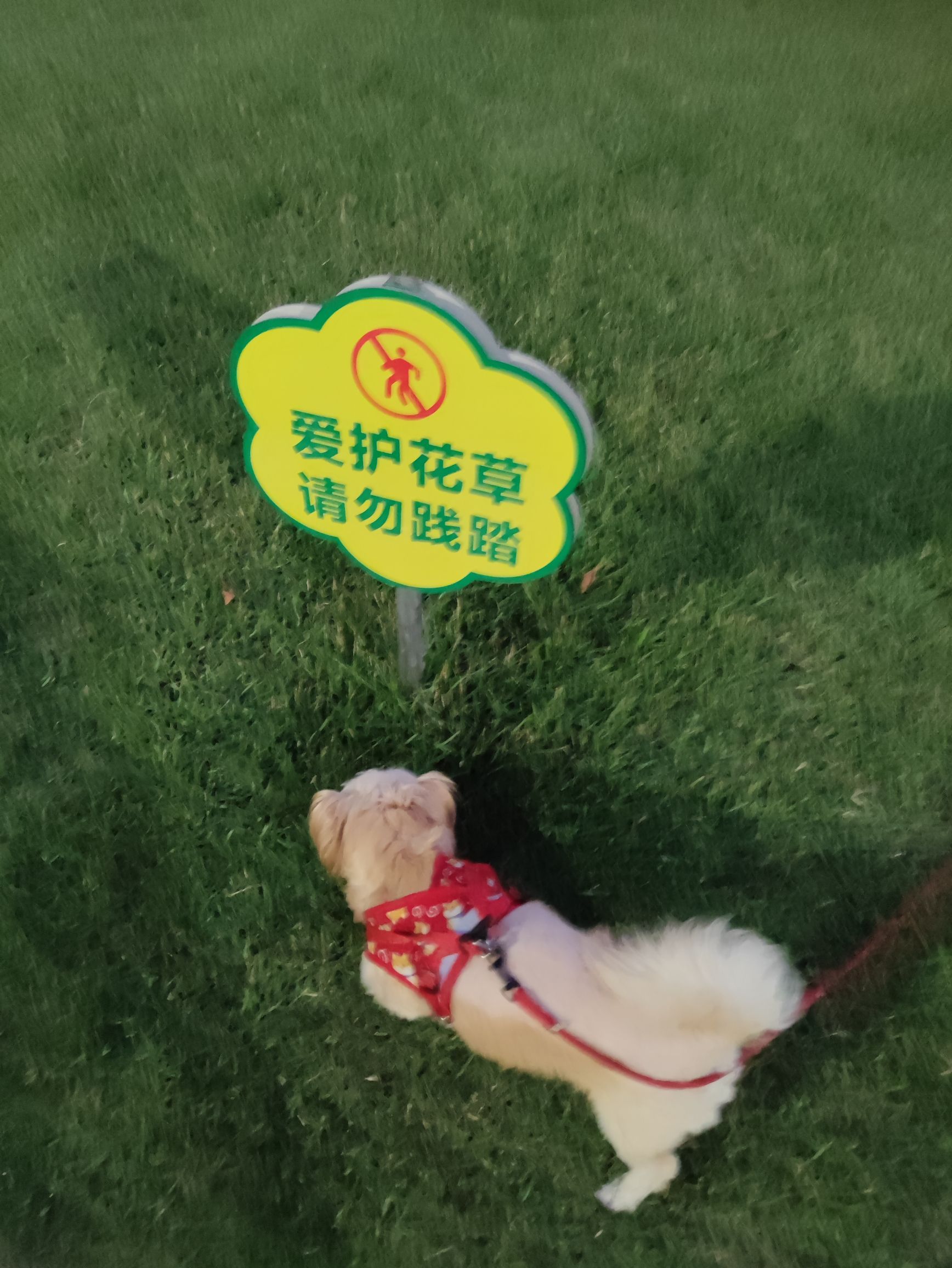 人民公园