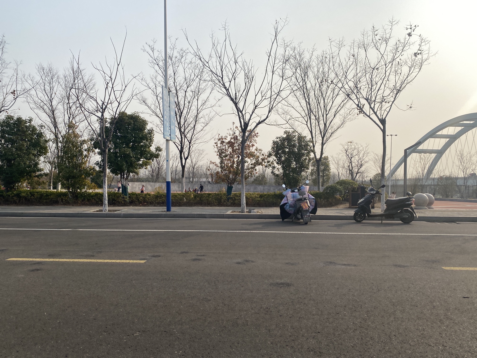 大吴街道滨河公园旅行图片