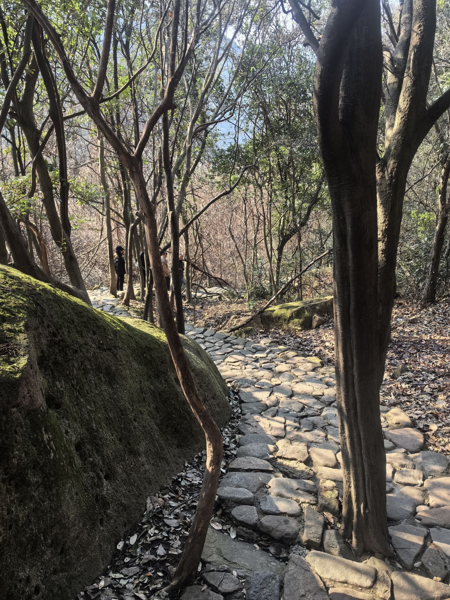 栲栳山风景区旅行图片