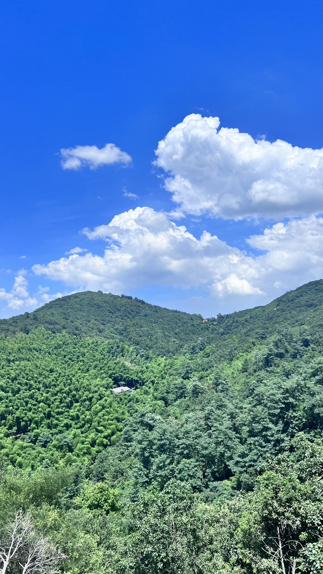 栲栳山风景区旅行图片