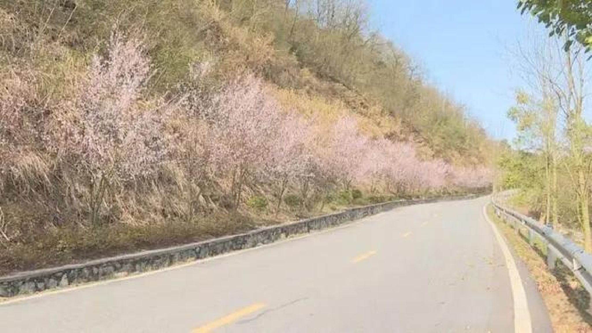 紫云峰国家森林公园旅行图片