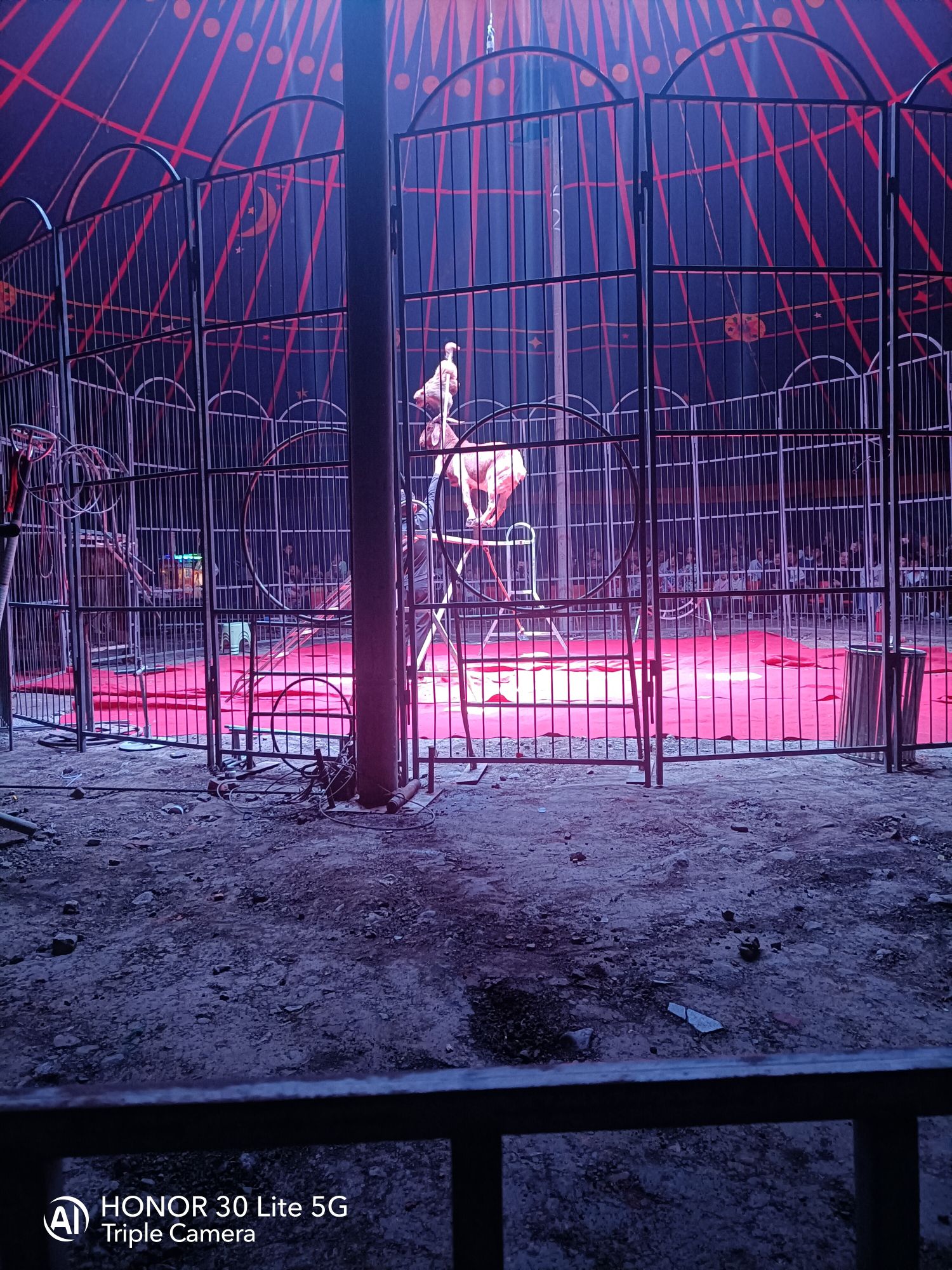 西窑沟森林动物园旅行图片