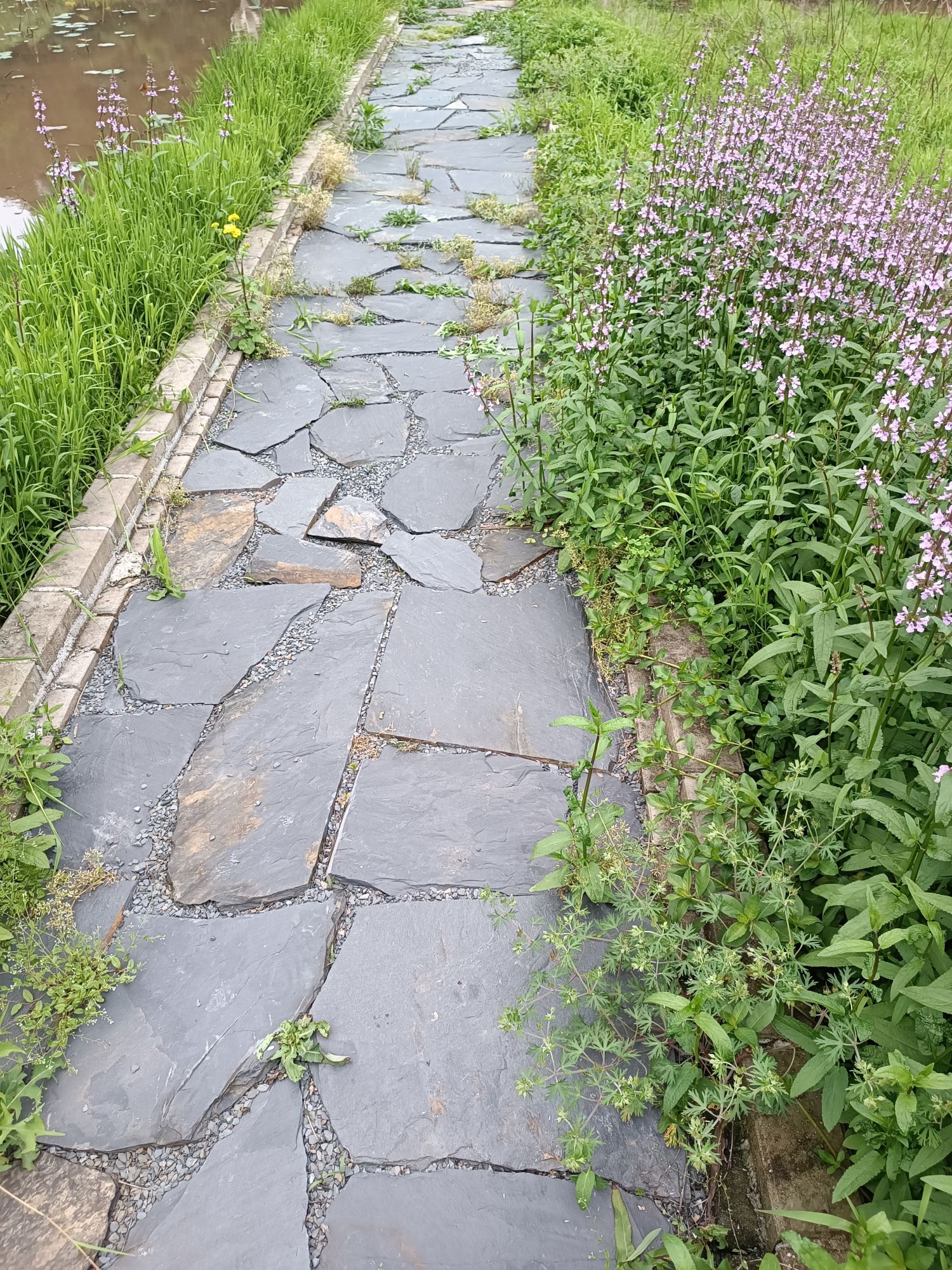 紫竹山景区旅行图片