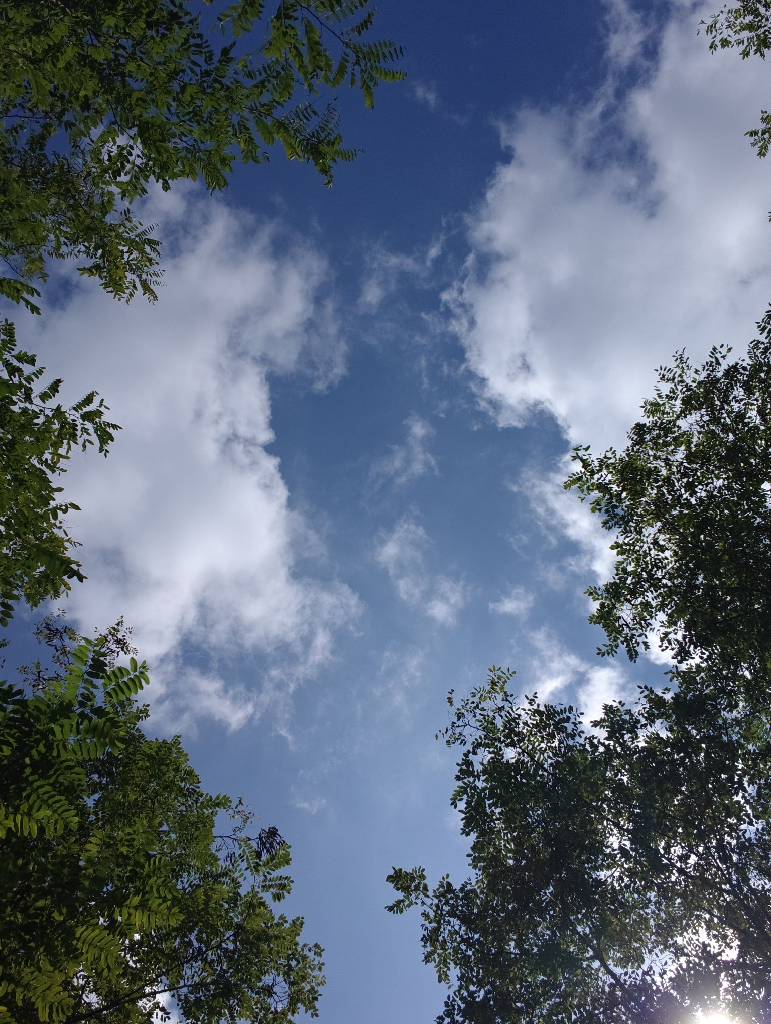 红星海滨海公园