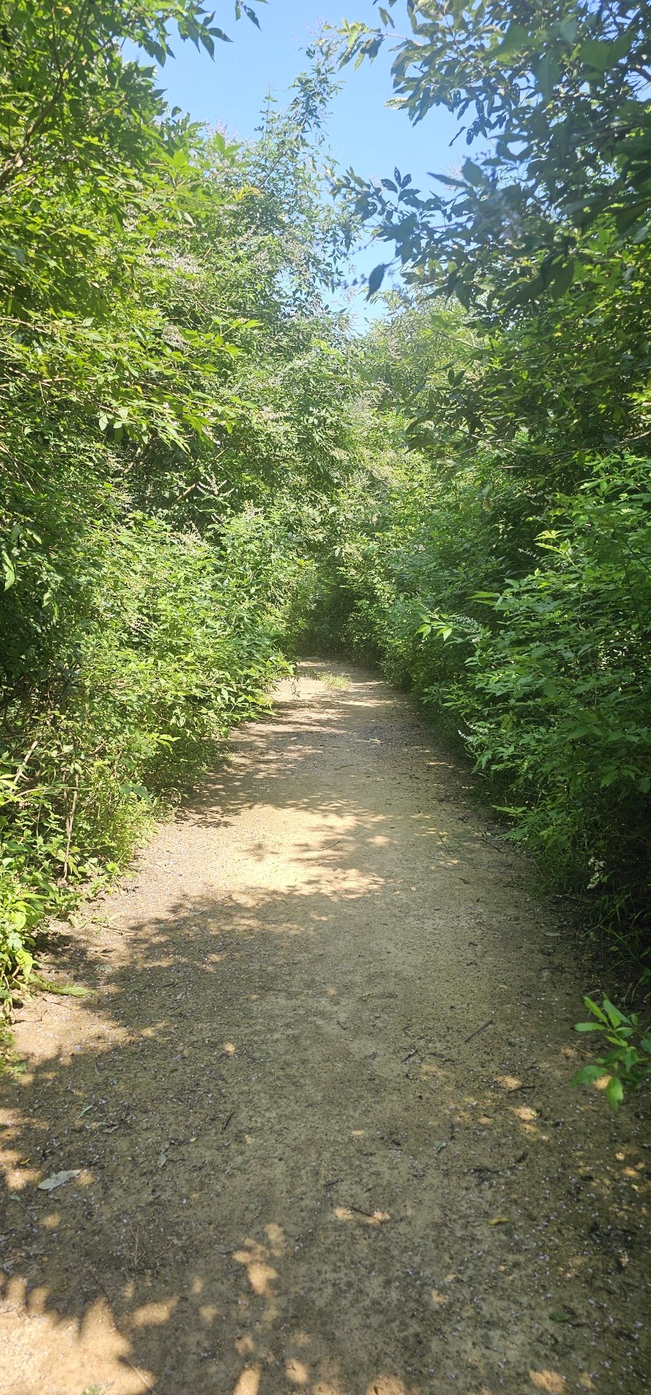 河南泌阳黄山口黑龙潭