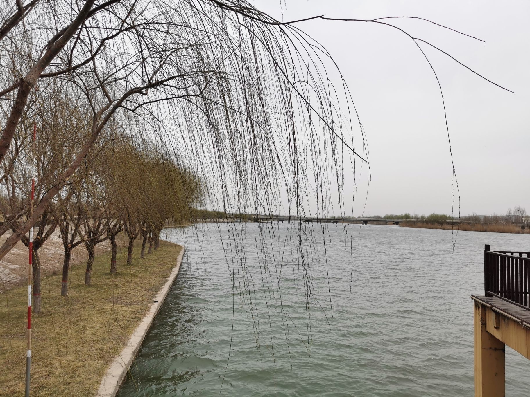 泜河公园旅行图片