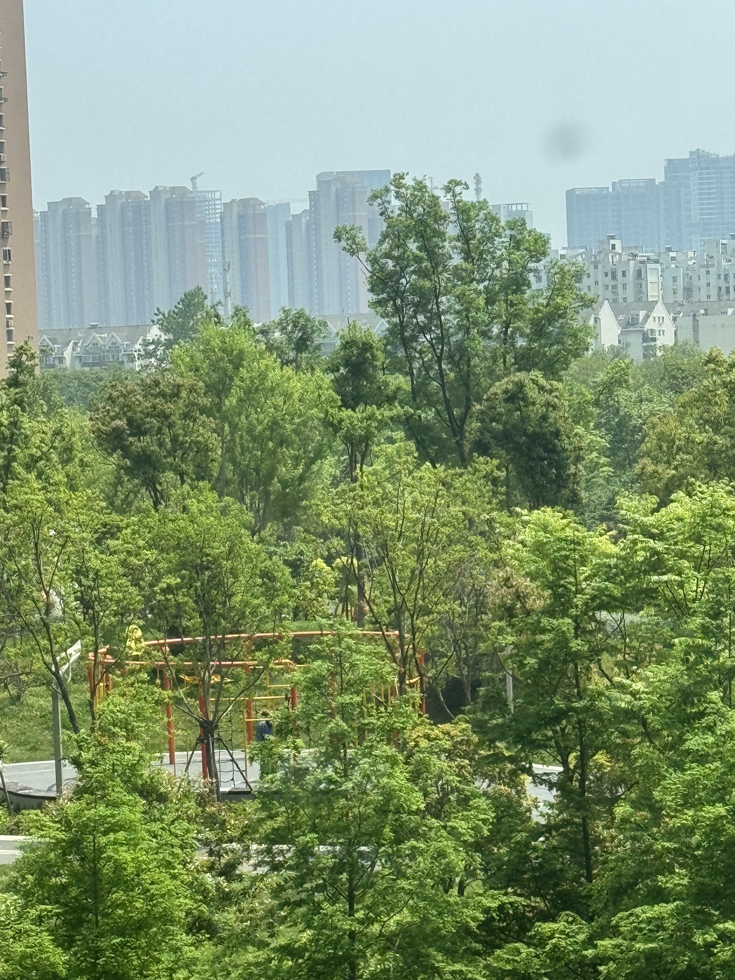 汉广海棠公园