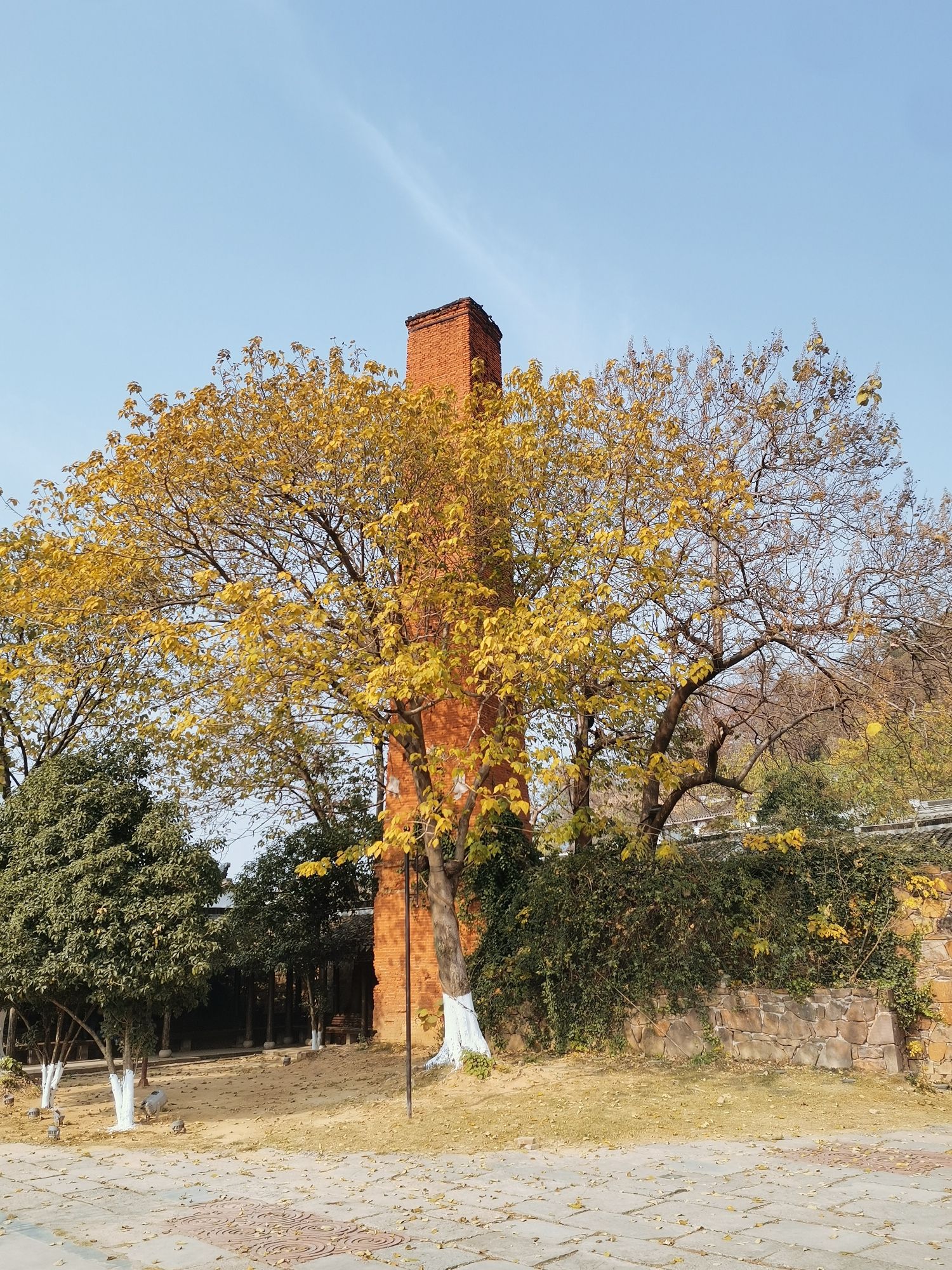 蜀山古南街