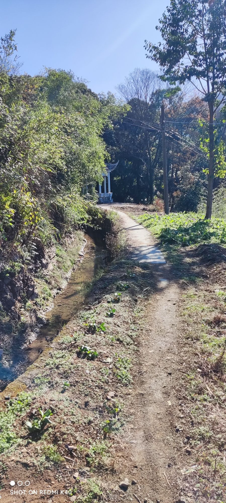 庵山森林公园