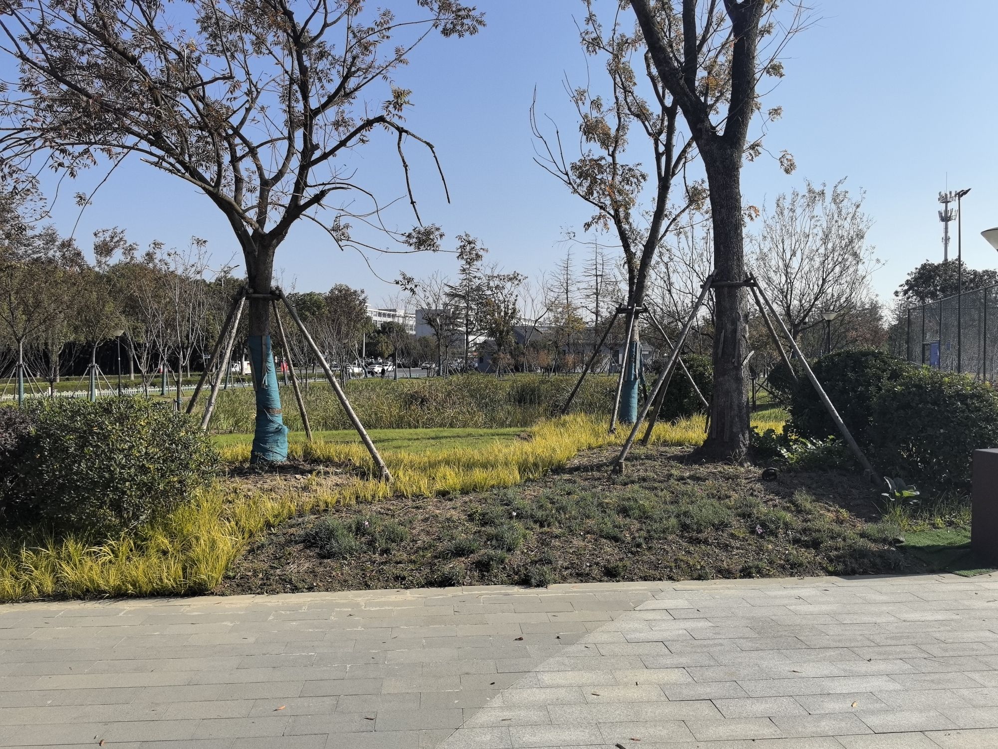宝应经济开发区学超公园