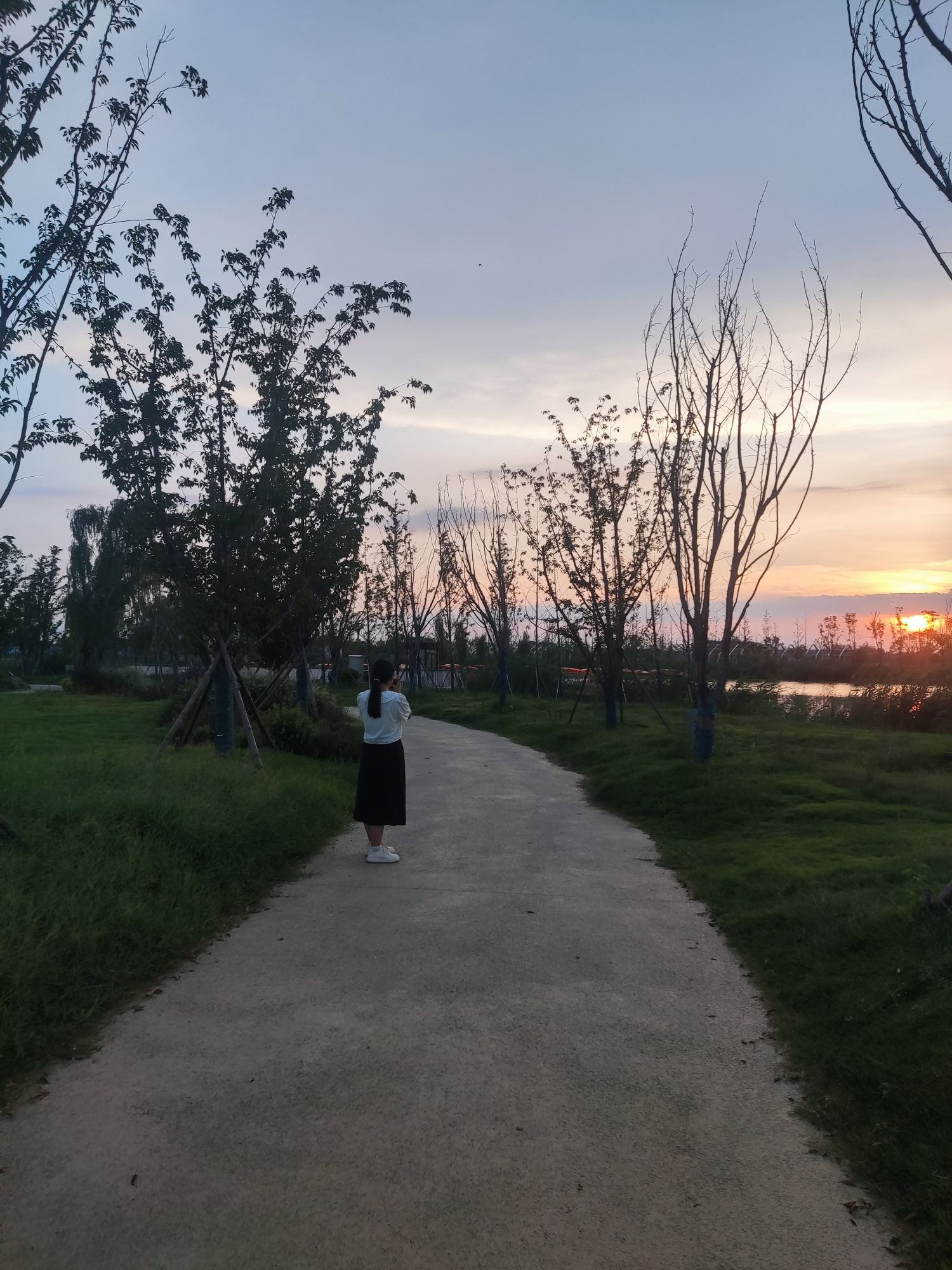 旧城湿地公园