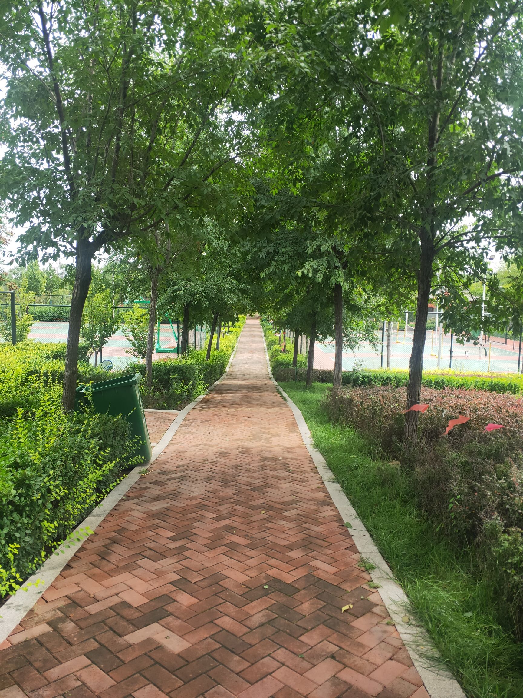 御庭华府广场旅行图片