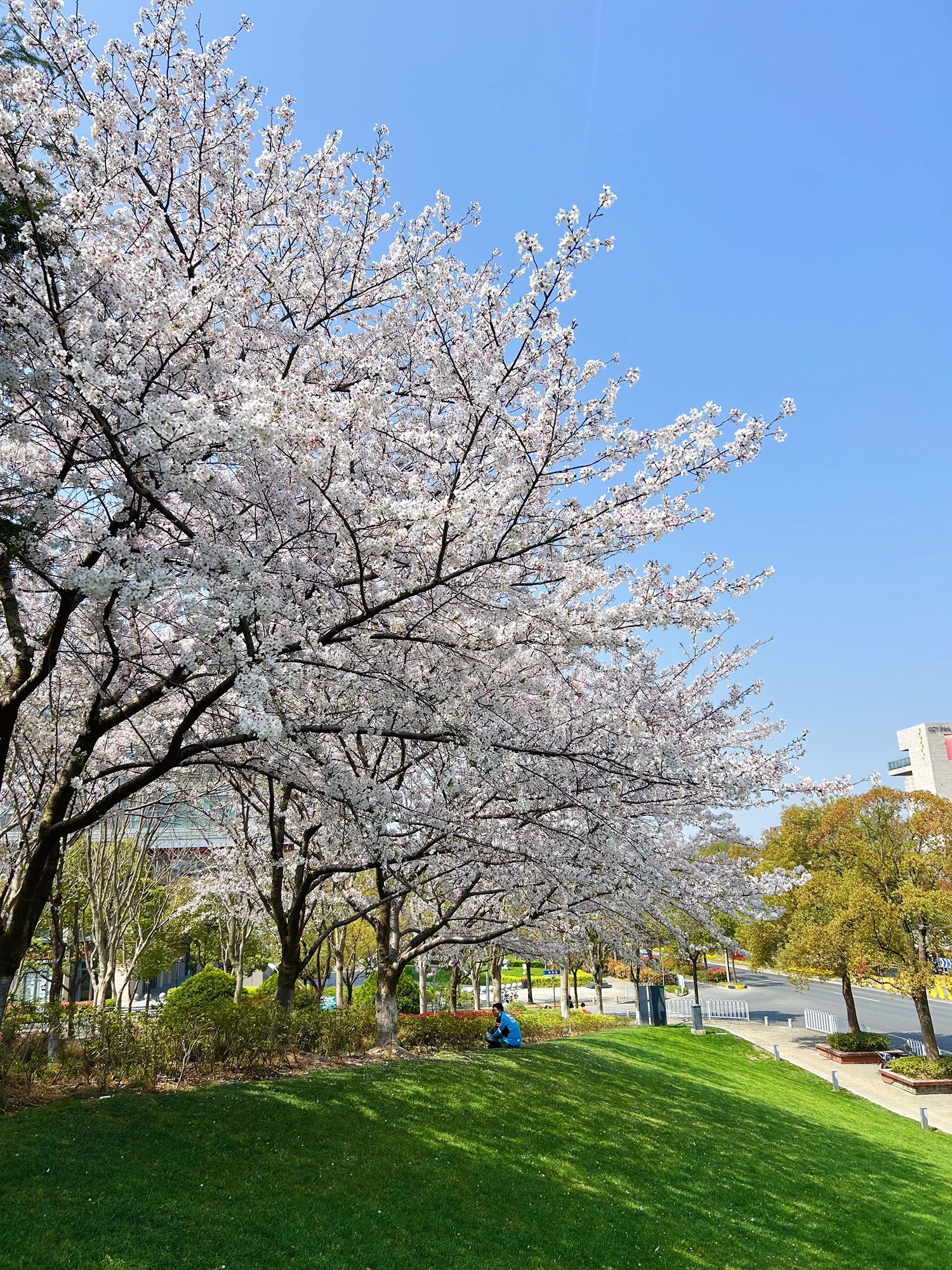浦康休闲公园旅行图片