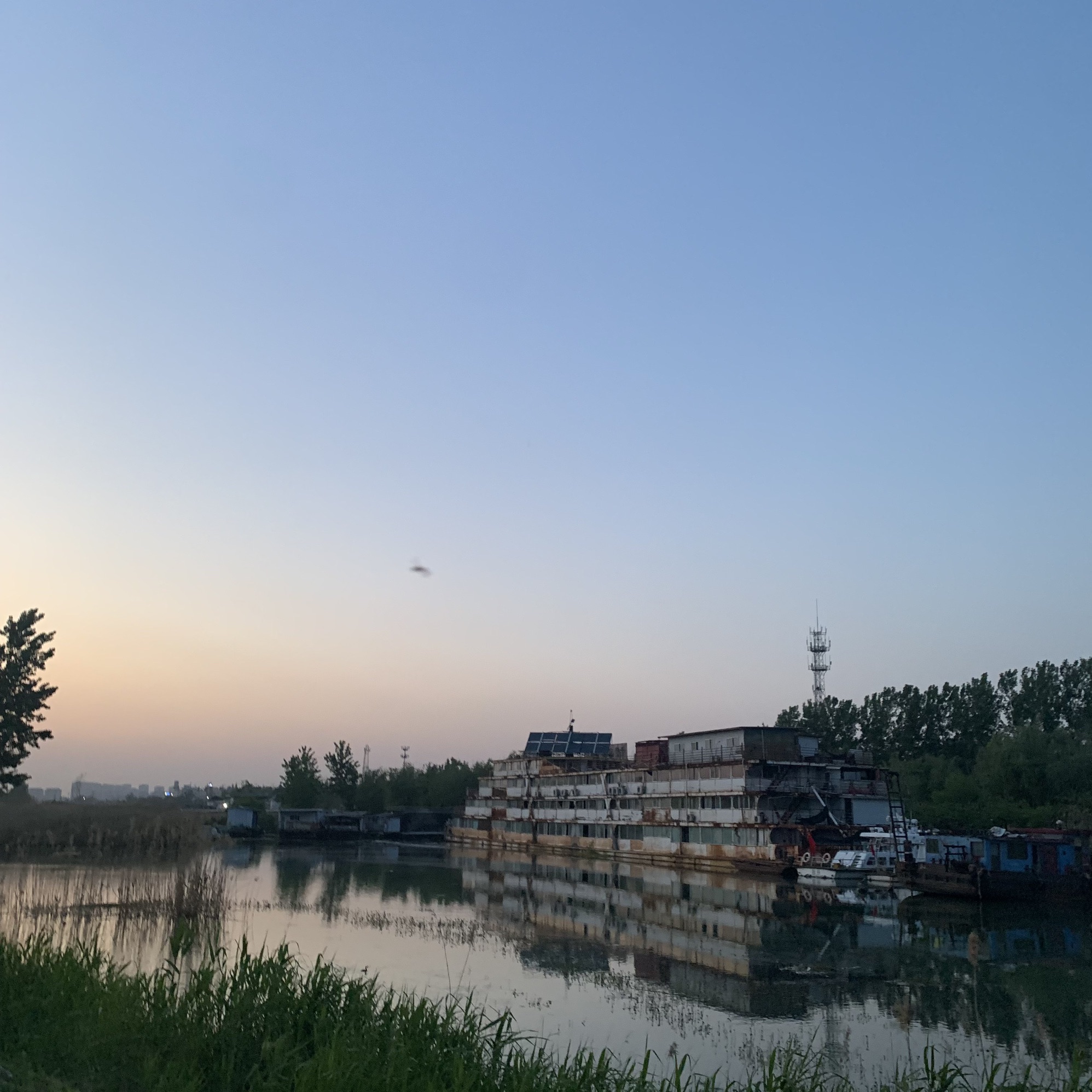 荷塘月色啤酒广场旅行图片