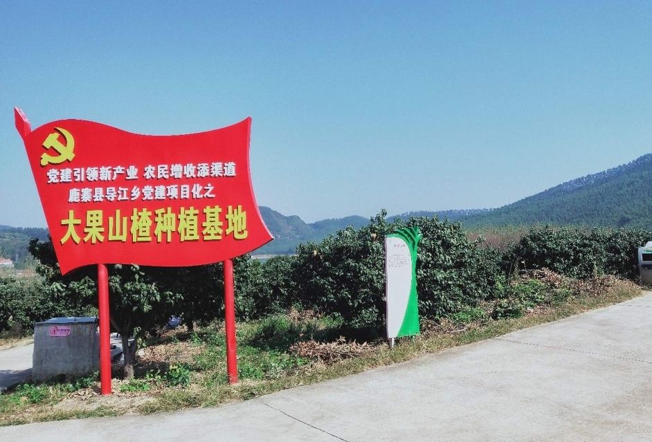 广西山楂花景区