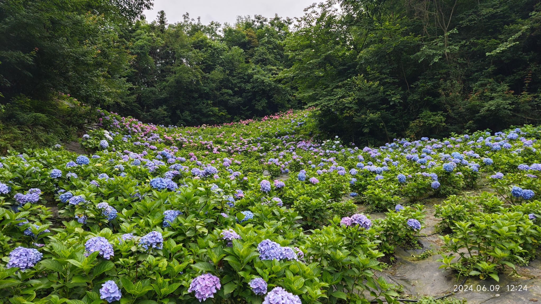 鹿野花塔
