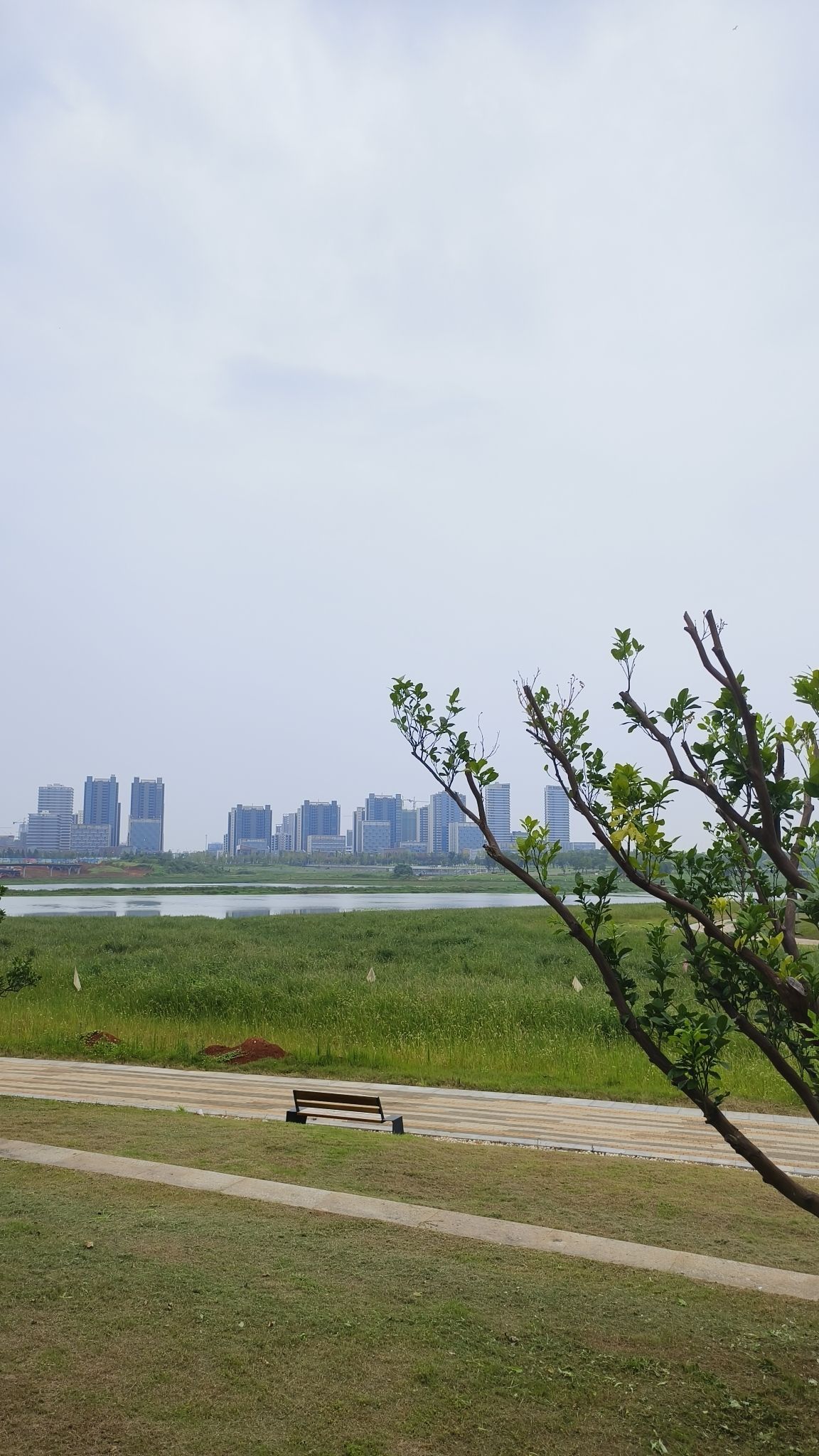 儒乐湖滨江公园旅行图片