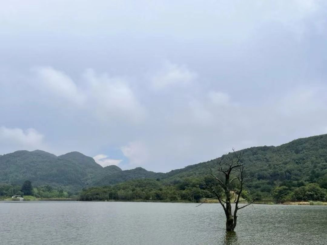 近月湖