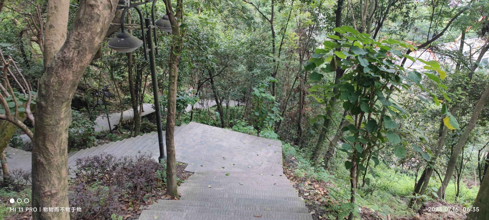 南山公园