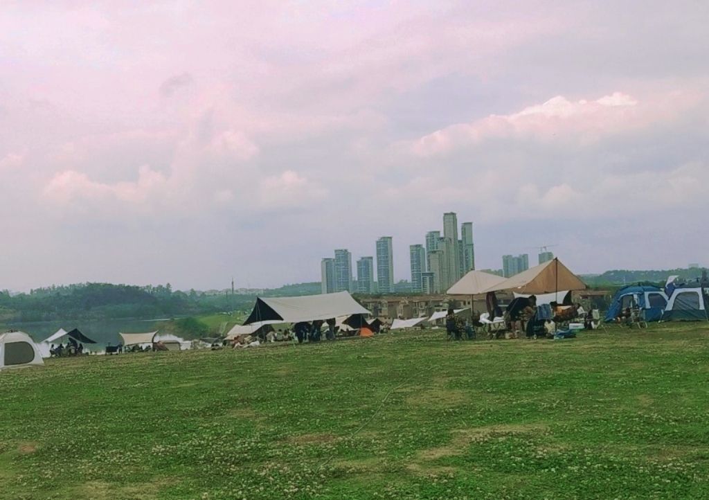 正兴镇景观大草坪旅行图片