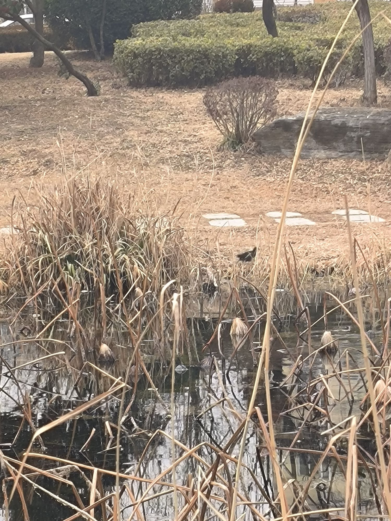 北潭郊野公园