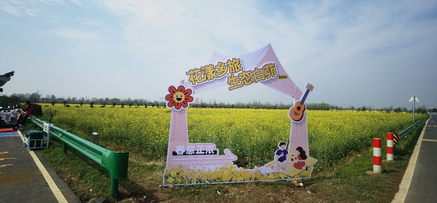 套北油菜花海