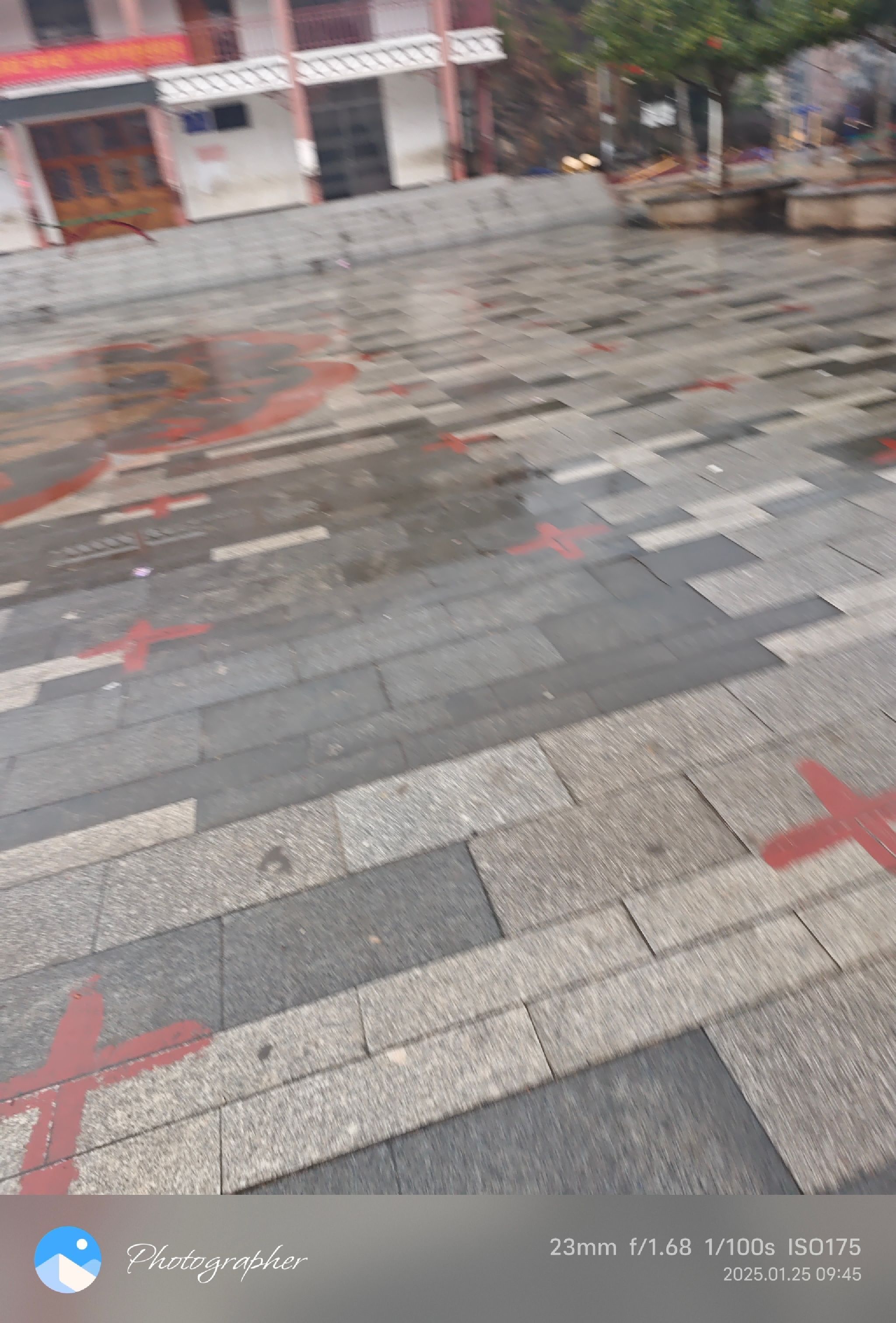 中心花园广场旅行图片