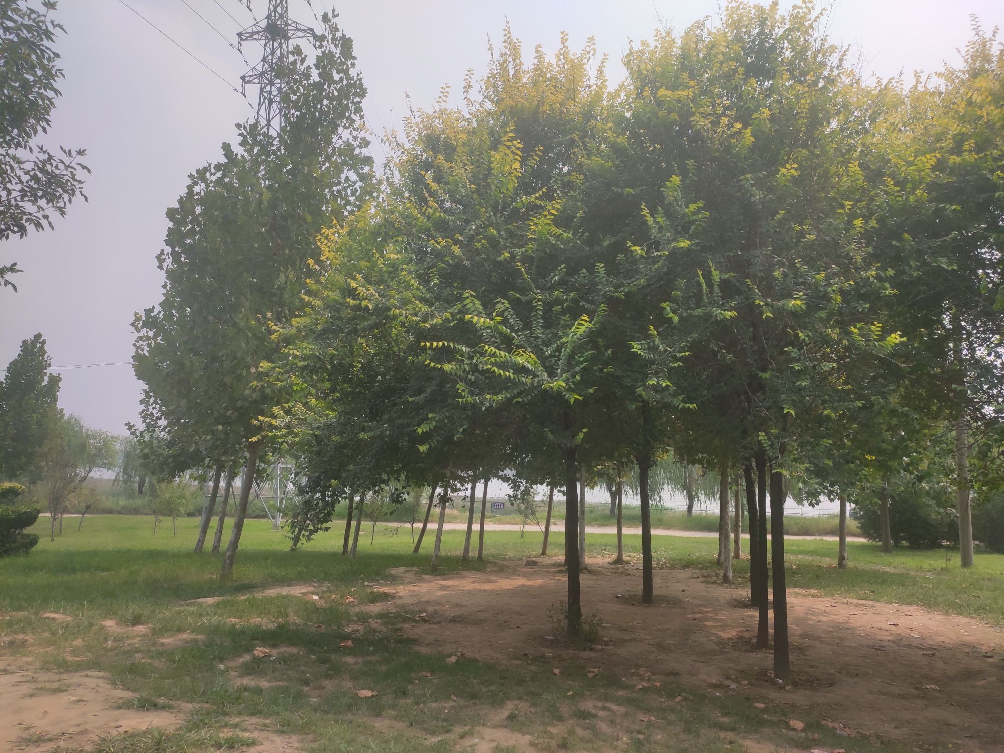 寿光市自行车公园旅行图片