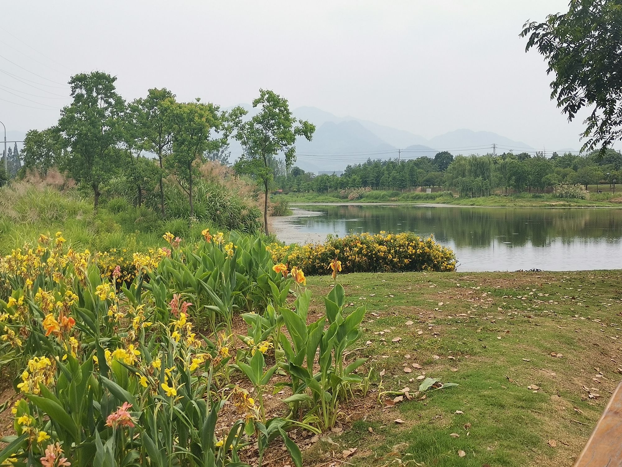 桐水湿地公园