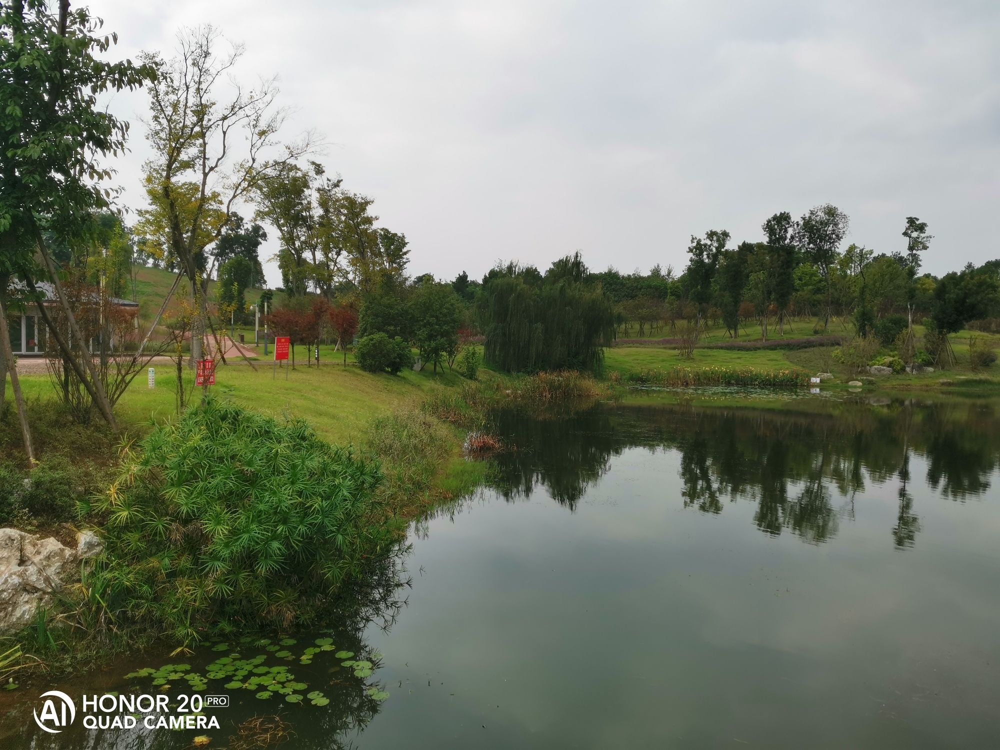 杨溪谷湿地公园
