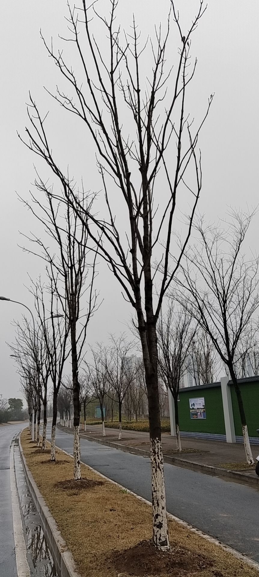 苏州公园旅行图片