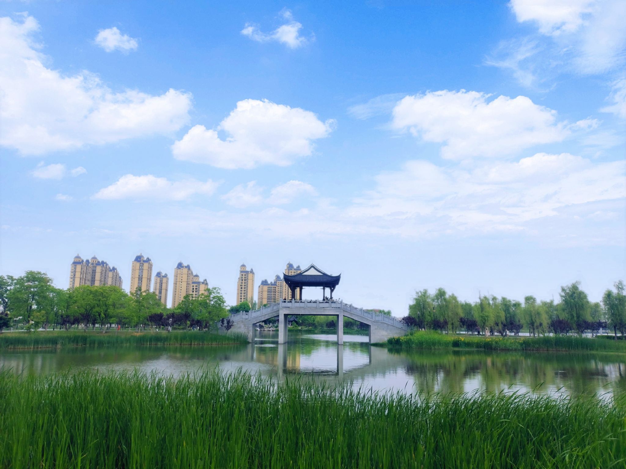 苏州公园旅行图片