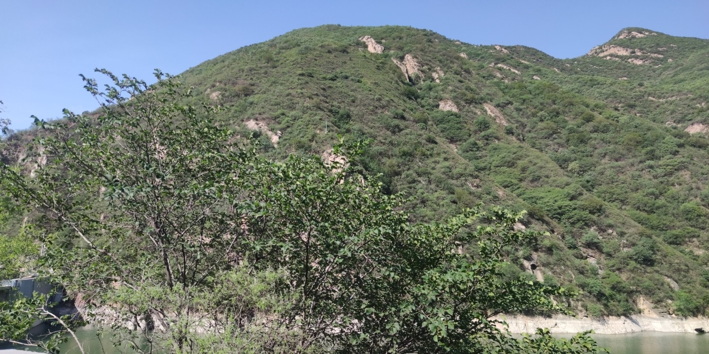 冬奥森林公园
