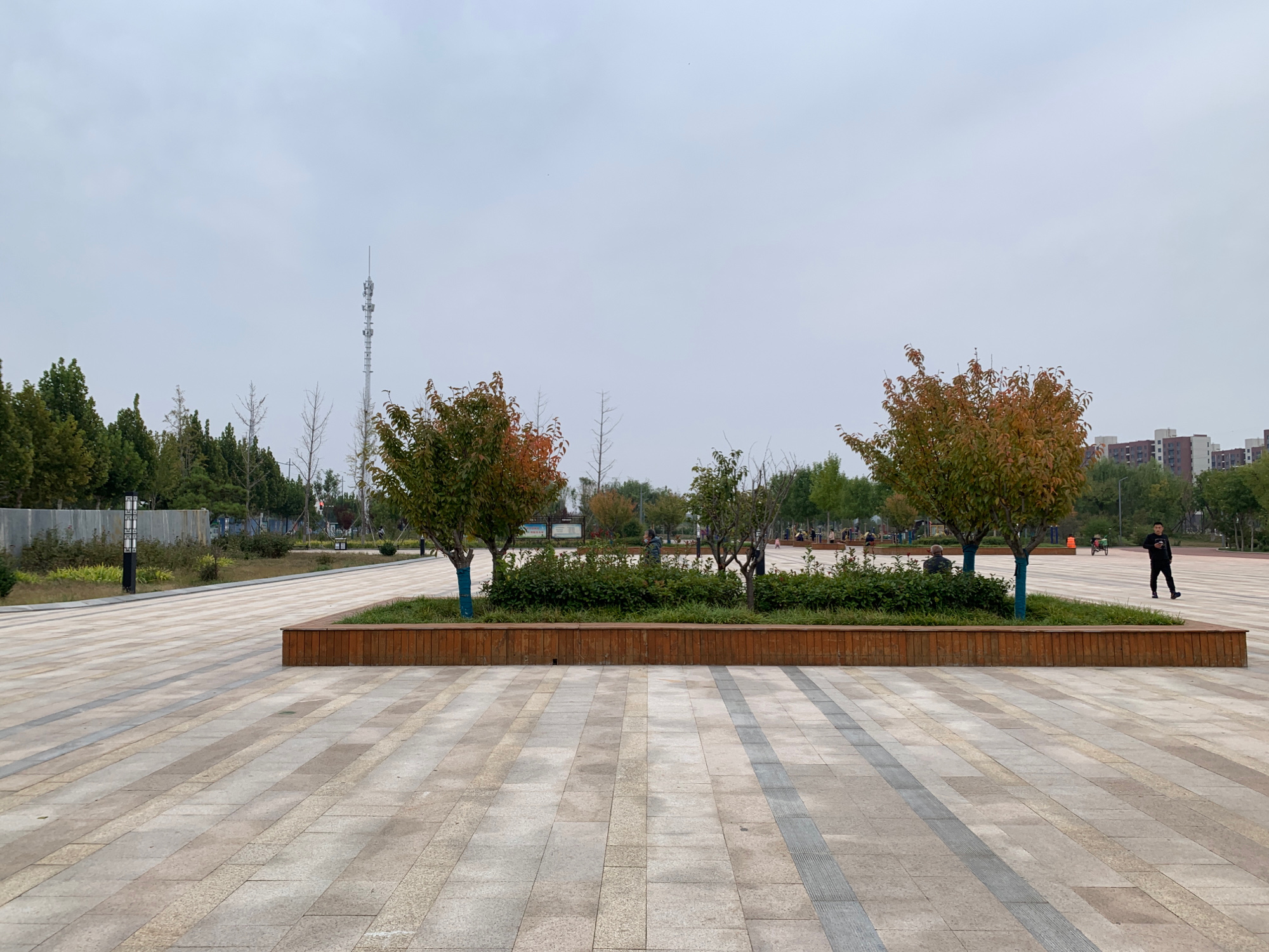 平原县南城公园