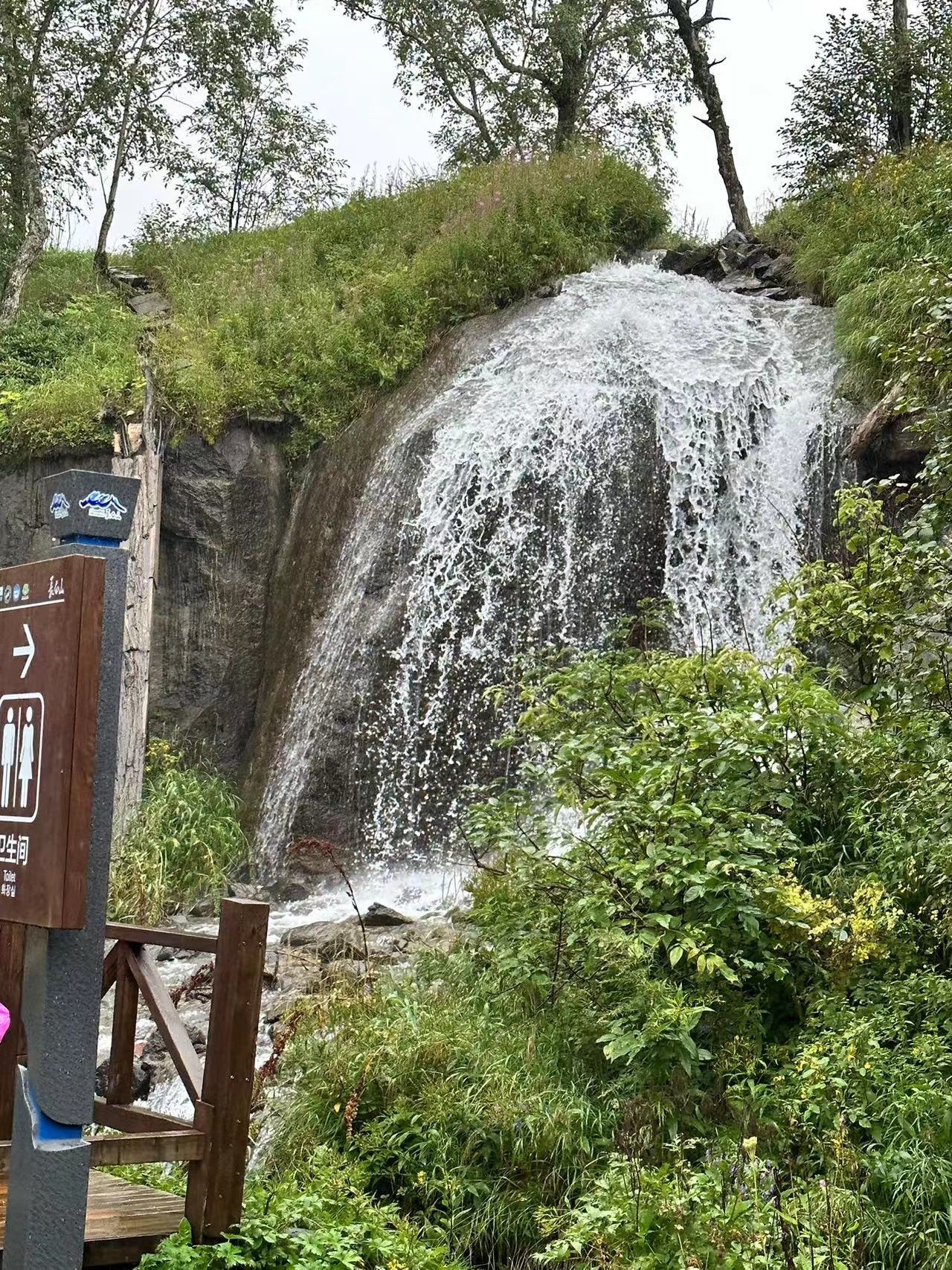 长白山国家森林公园旅行图片